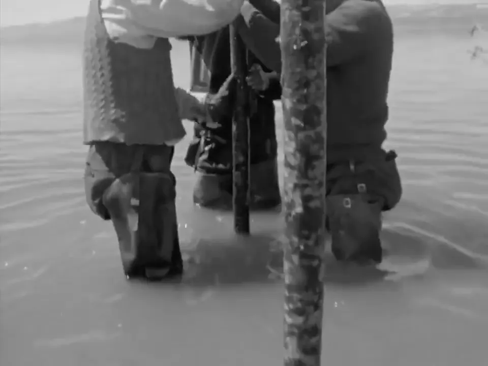 三人共同扶住一根竖直木桩，水面在身后展开。